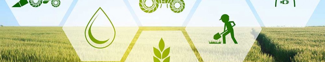 Agriculture Agriculture