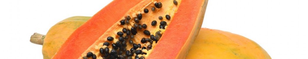 Fruit Seeds Fruit Seeds