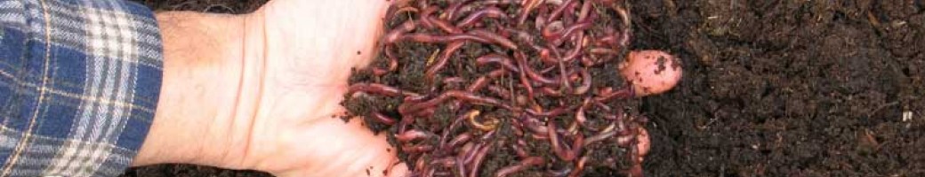 Garden Manure