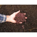 Garden Manure