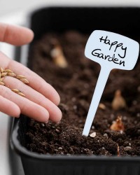 Home & Garden