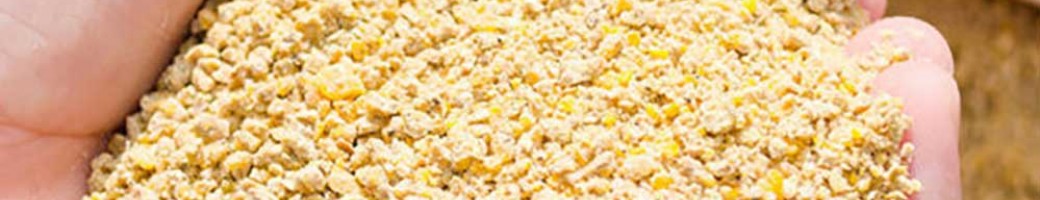 Poultry Feed Additives Poultry Feed Additives