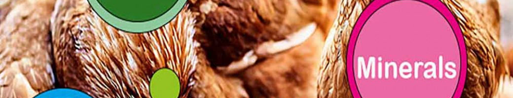 Poultry Vitamins & Minerals Poultry Vitamins & Minerals