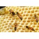 Pure Beeswax for Candle Making – Beeswax Bars – 450g (1lb) | For DIY Crafts, Cosmetics & Organic Candles