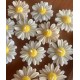 Luxurious Daisy Flower Candles – Scented & Unscented | Ideal for Corporate Gifts, Client Appreciation, & Employee Recognition