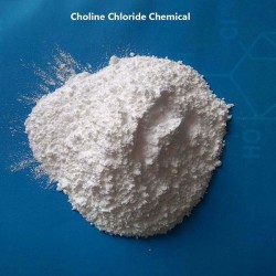 Choline Chloride for Animal Feed 98% – 1kg | Essential Nutrient for Growth, Liver Health & Metabolism