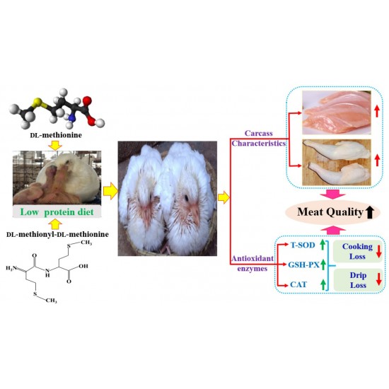 DL-Methionine Feed Grade – 200gm