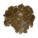 De-Oiled Cottonseed Cake (Cotton DOC) – Animal Feed Grade