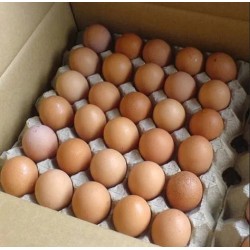 Country Chicken Eggs – Desi Eggs (Pack of 30)