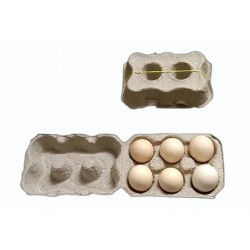 6 Eggs Paper Mache Tray with Lid – Compact & Eco-Friendly Egg Packaging