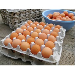 30 Eggs Paper Mache Egg Tray – Recyclable & Durable Poultry Egg Carton