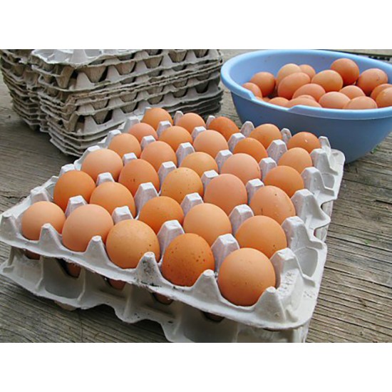 30 Eggs Paper Mache Egg Tray – Recyclable & Durable Poultry Egg Carton