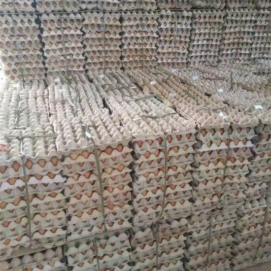 30 Eggs Paper Mache Egg Tray – Recyclable & Durable Poultry Egg Carton