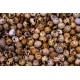 Quail Eggs – High Protein, Farm Fresh (Pack of 30)