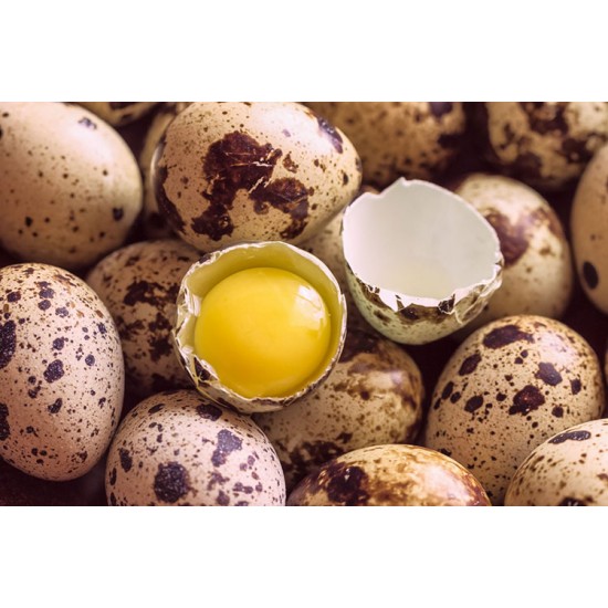 Quail Eggs – High Protein, Farm Fresh (Pack of 30)