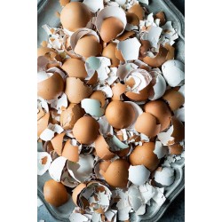 Shazam's Broken Country Chicken Eggshell Chips – 450g | Natural Soil Enhancer & Garden Calcium Supplement