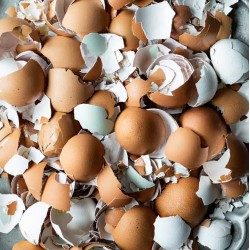 Shazam's Broken Country Chicken Eggshell Chips – 450g | Natural Soil Enhancer & Garden Calcium Supplement