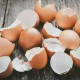 Shazam's Broken Country Chicken Eggshell Chips – 450g | Natural Soil Enhancer & Garden Calcium Supplement