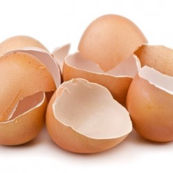 Shazam's Broken Country Chicken Eggshell Chips – 450g | Natural Soil Enhancer & Garden Calcium Supplement