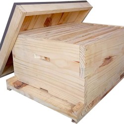 Apis Mellifera Beehive Brood Box (Without Bees)
