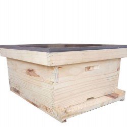 Apis Mellifera Beehive Brood Box (Without Bees)