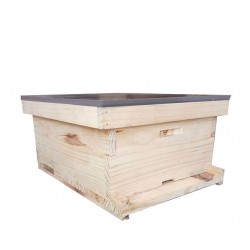Apis Mellifera Beehive Brood Box (Without Bees)