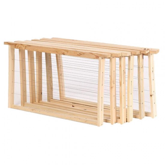 Apis Mellifera Beehive Brood Box (Without Bees)