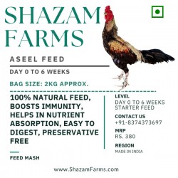 Aseel High Protein Starter Feed (0–6 Weeks)