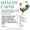 Desi Poultry Developer Feed (7–16 Weeks)