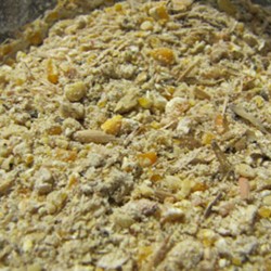 Aseel High Protein Pre Layer Feed (16 Weeks – 5% Egg Production)