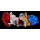 Betta Fighter Fish – Colorful and Territorial Freshwater Aquarium Fish