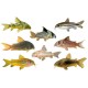 Corydoras Catfish – Peaceful Bottom-Dwelling Aquarium Fish