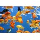 Goldfish – Live Aquarium Fish for Home Tanks
