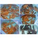Oscar Fish – Intelligent and Territorial Freshwater Aquarium Fish