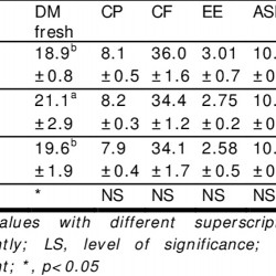 German Grass (Echinochloa polystachya) – Fodder Grass Seeds