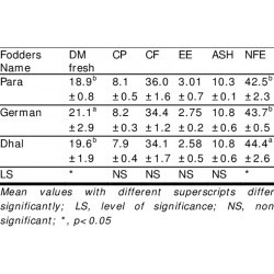 German Grass (Echinochloa polystachya) – Fodder Grass Seeds