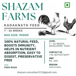 Kadaknath Developer Feed (7–16 Weeks)