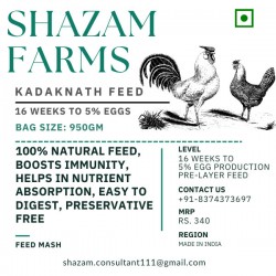 Kadaknath Pre Layer Feed (16 Weeks -5% Egg Production)