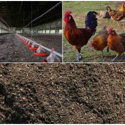 Shazam’s Chicken Manure Fertilizer – 950g | Nutrient-Rich Soil Enhancer for Gardens