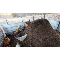 Shazam’s Chicken Manure Fertilizer - 5Kg | Nutrient-Rich Soil Enhancer for Gardens