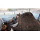 Shazam’s Chicken Manure Fertilizer - 5Kg | Nutrient-Rich Soil Enhancer for Gardens