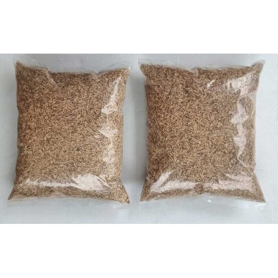 Rice Hull / Husk Soil Mix – 1kg | Potting Mix for Seed Germination & Poultry Bedding