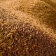 Rice Hull / Husk Soil Mix – 1kg | Potting Mix for Seed Germination & Poultry Bedding