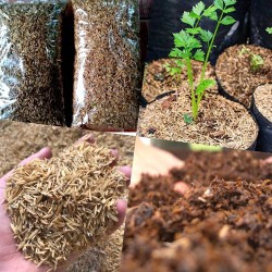 Rice Hull / Husk Soil Mix – 1kg | Potting Mix for Seed Germination & Poultry Bedding