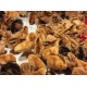 Rhode Island Red Chicks – Female (Egg Layer) 1 to 3 Day Old