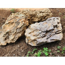 Bamboo Rock – Natural Soft Decorative Rock for Aquarium, Succulent & Bonsai Décor | 1kg