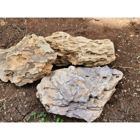 Bamboo Rock – Natural Soft Decorative Rock for Aquarium, Succulent & Bonsai Décor | 1kg