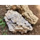 Bamboo Rock – Natural Soft Decorative Rock for Aquarium, Succulent & Bonsai Décor | 1kg