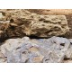 Bamboo Rock – Natural Soft Decorative Rock for Aquarium, Succulent & Bonsai Décor | 1kg