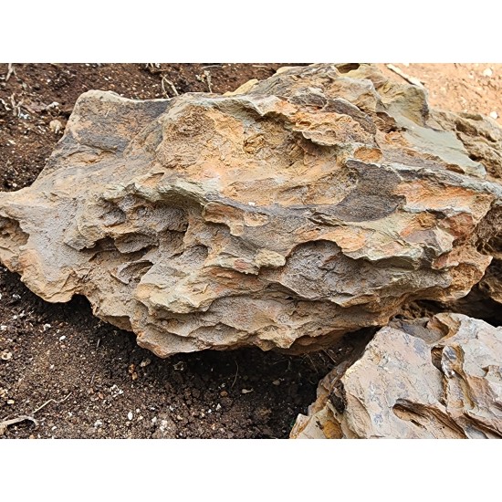 Bamboo Rock – Natural Soft Decorative Rock for Aquarium, Succulent & Bonsai Décor | 1kg